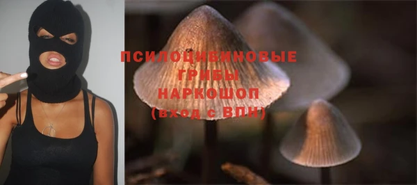 трава Верхний Тагил