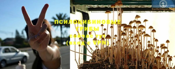 apvp Бородино