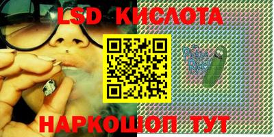 Альфа ПВП Кандалакша