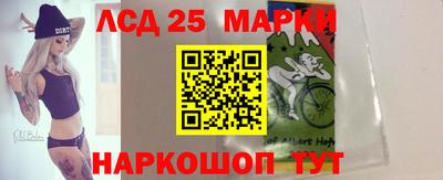Альфа ПВП Кандалакша