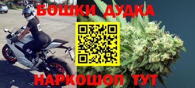 Альфа ПВП Кандалакша