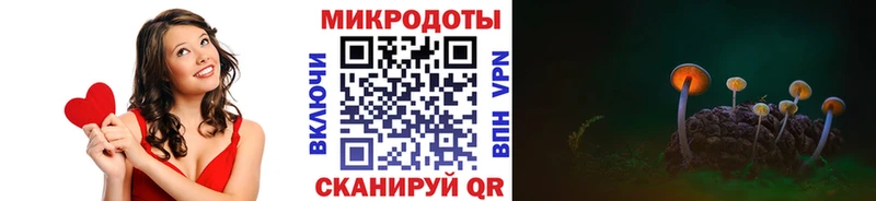 darknet как зайти  Валуйки  Псилоцибиновые грибы Cubensis  продажа наркотиков 